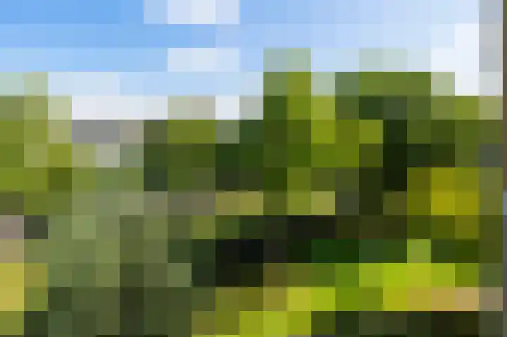 Einsteinlaan 301 Badhoevedorp thumbnail 33
