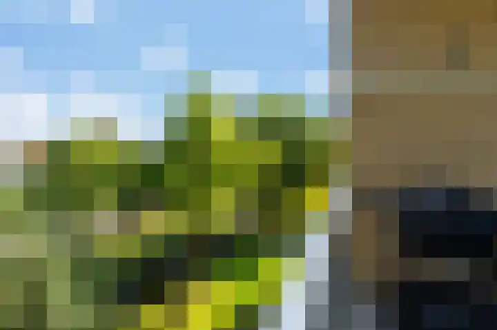 Einsteinlaan 301 Badhoevedorp thumbnail 34