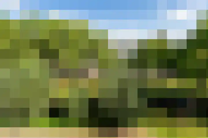 Einsteinlaan 301 Badhoevedorp thumbnail 36