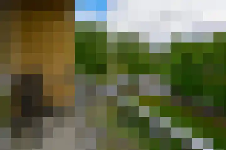 Einsteinlaan 327 Badhoevedorp thumbnail 13