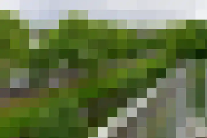 Einsteinlaan 327 Badhoevedorp thumbnail 14