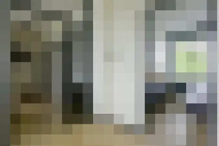 Einsteinlaan 327 Badhoevedorp thumbnail 7