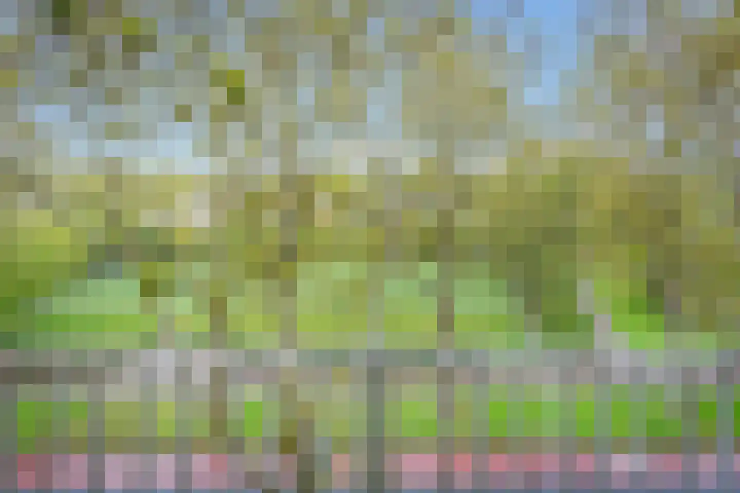 Einsteinlaan 359 Badhoevedorp thumbnail 18
