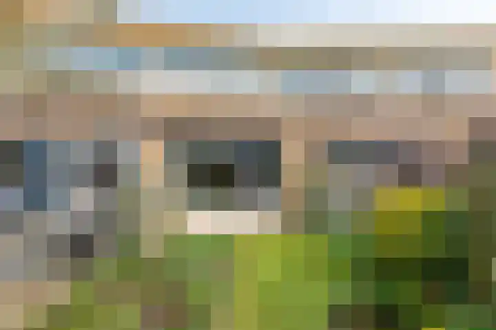 Einsteinlaan 39 Badhoevedorp thumbnail 14