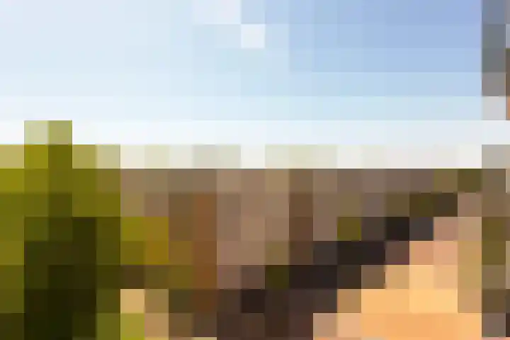Einsteinlaan 39 Badhoevedorp thumbnail 15