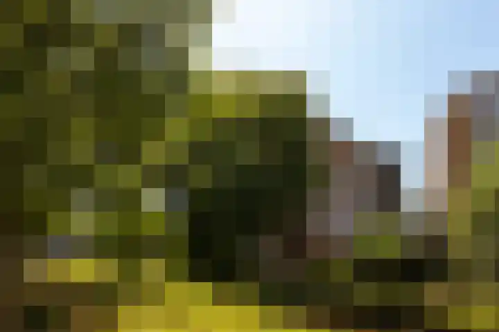 Einsteinlaan 39 Badhoevedorp thumbnail 28
