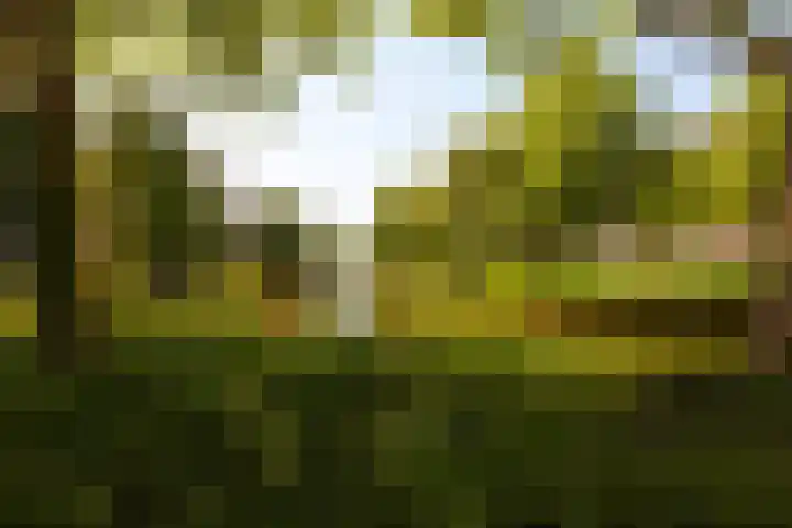 Einsteinlaan 39 Badhoevedorp thumbnail 29