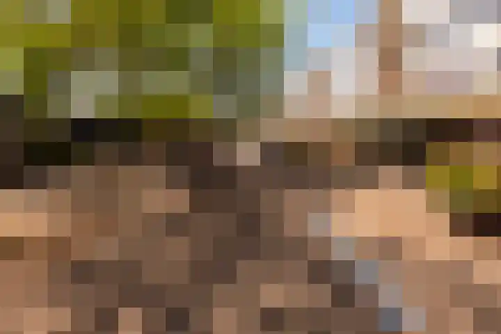 Einsteinlaan 39 Badhoevedorp thumbnail 33