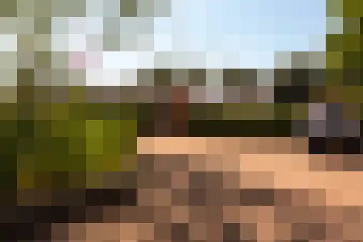 Einsteinlaan 39 Badhoevedorp thumbnail 34