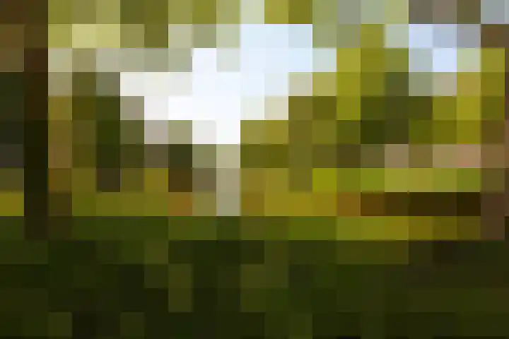 Einsteinlaan 51 Badhoevedorp thumbnail 35