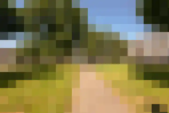 Einsteinlaan 51 Badhoevedorp thumbnail 39