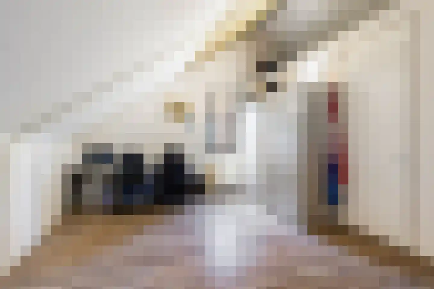 Einsteinlaan 53 Apeldoorn thumbnail 27
