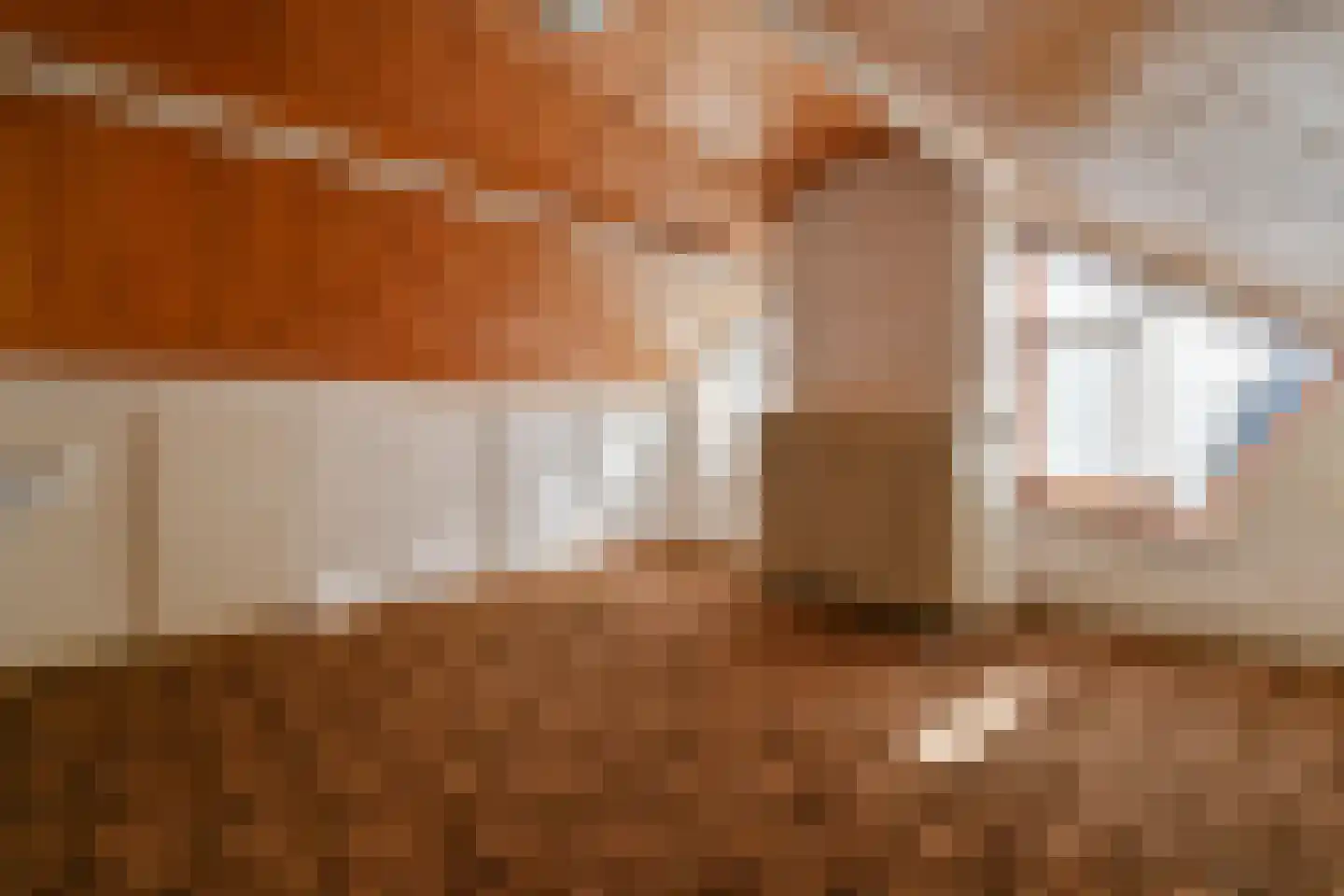 Einsteinlaan 6 Badhoevedorp thumbnail 18
