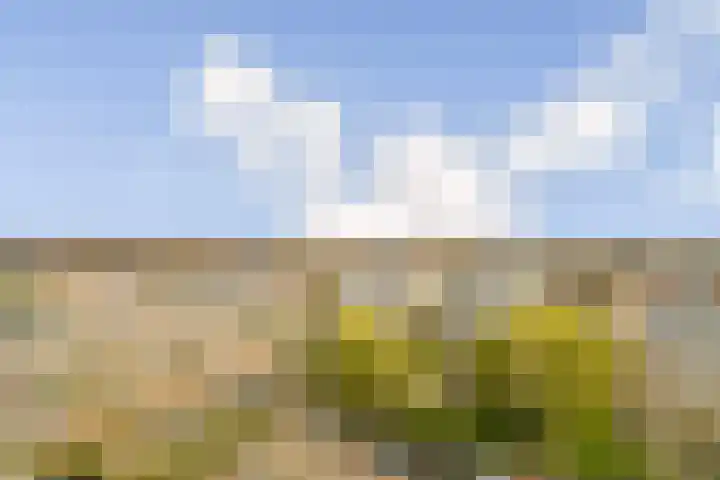 Einsteinlaan 89 Badhoevedorp thumbnail 20