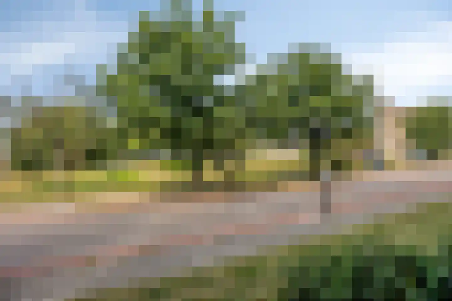 Einsteinlaan 96 Apeldoorn thumbnail 38
