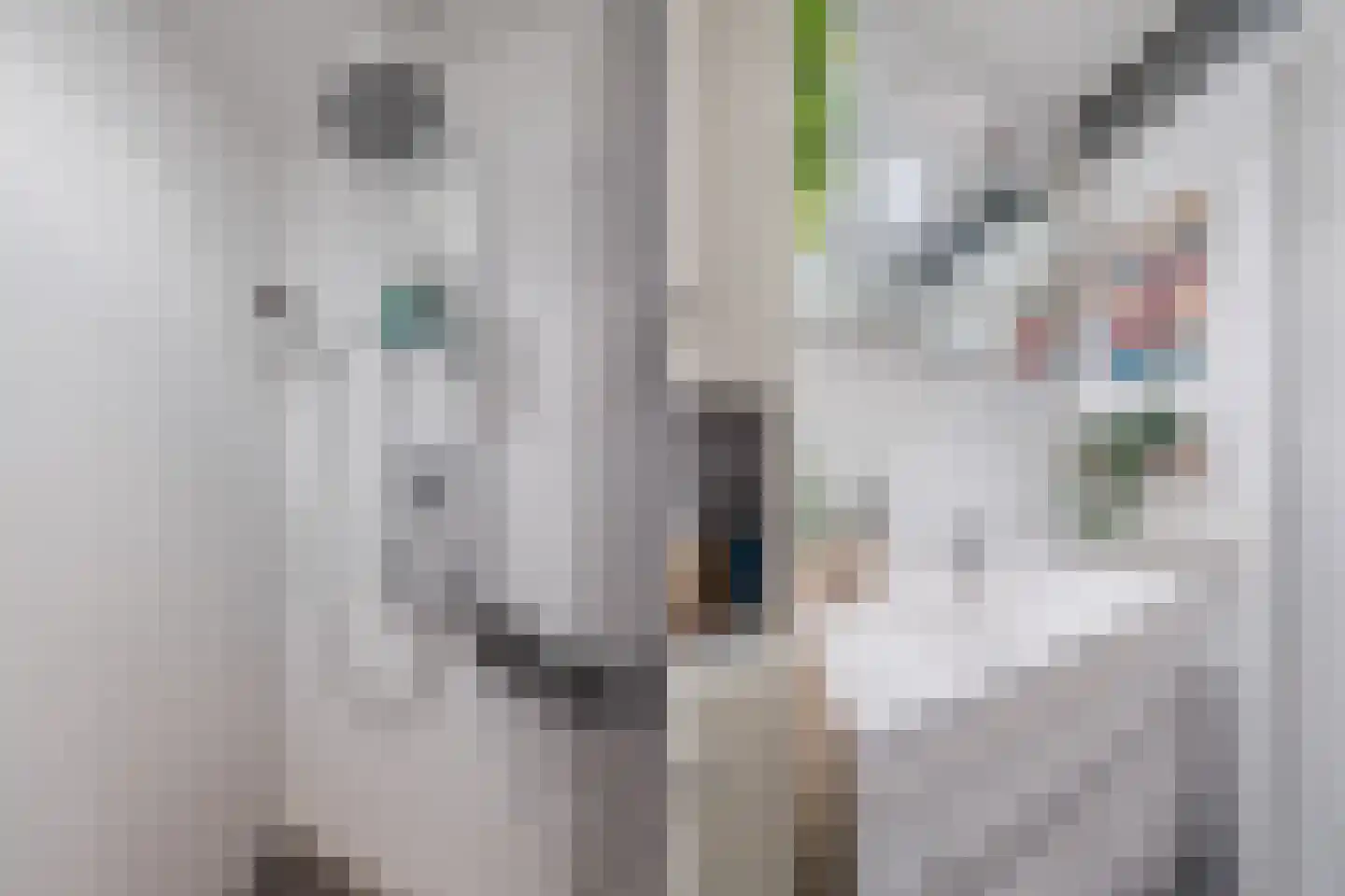 Einsteinplaats 1007 Rotterdam thumbnail 32
