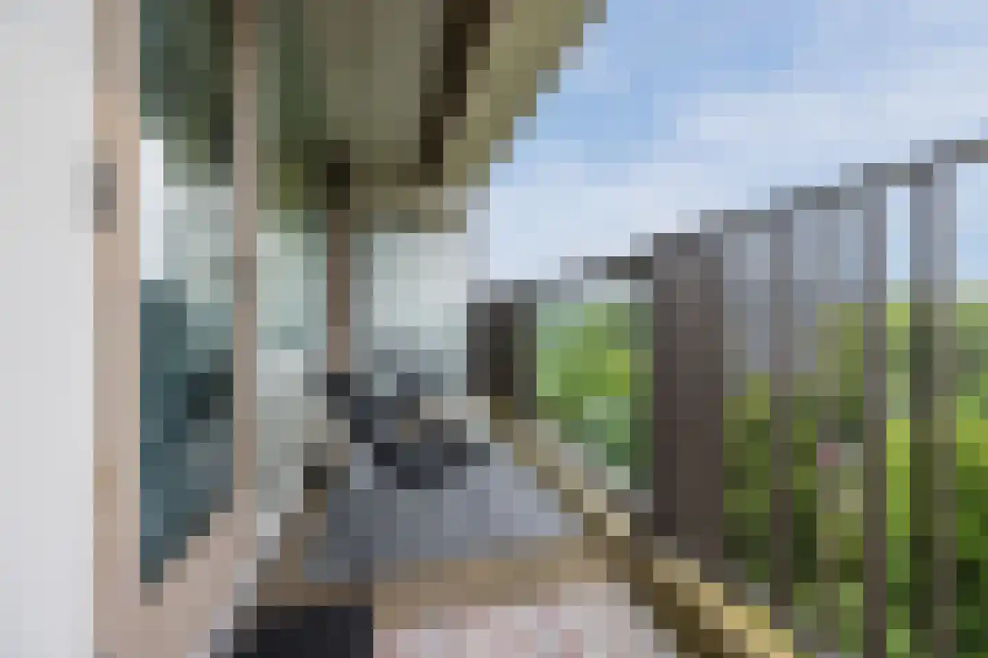 Einsteinplaats 1007 Rotterdam thumbnail 4