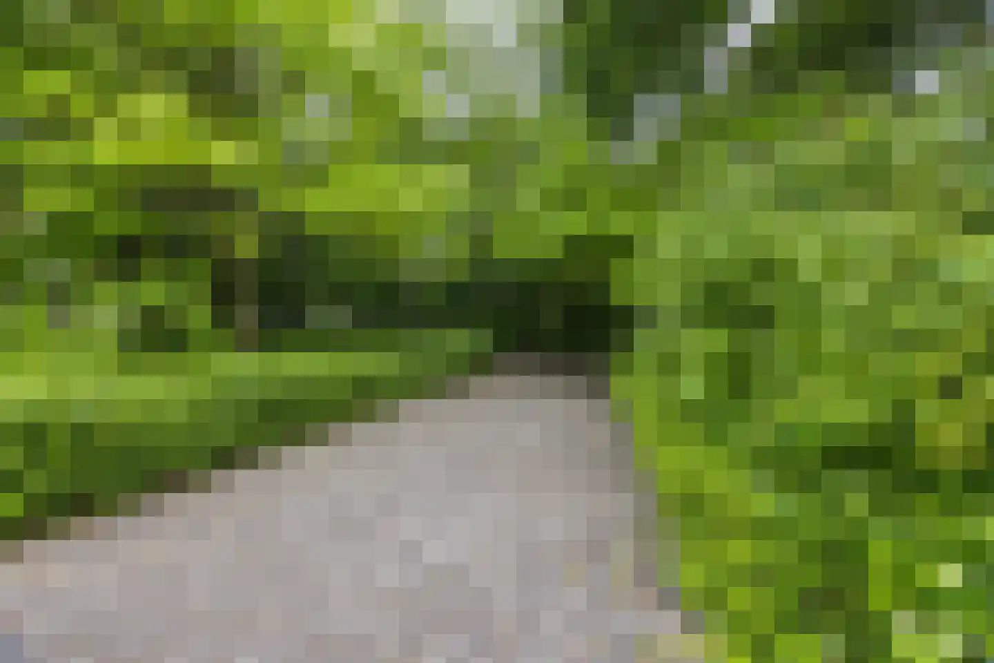 Einsteinplaats 1007 Rotterdam thumbnail 44