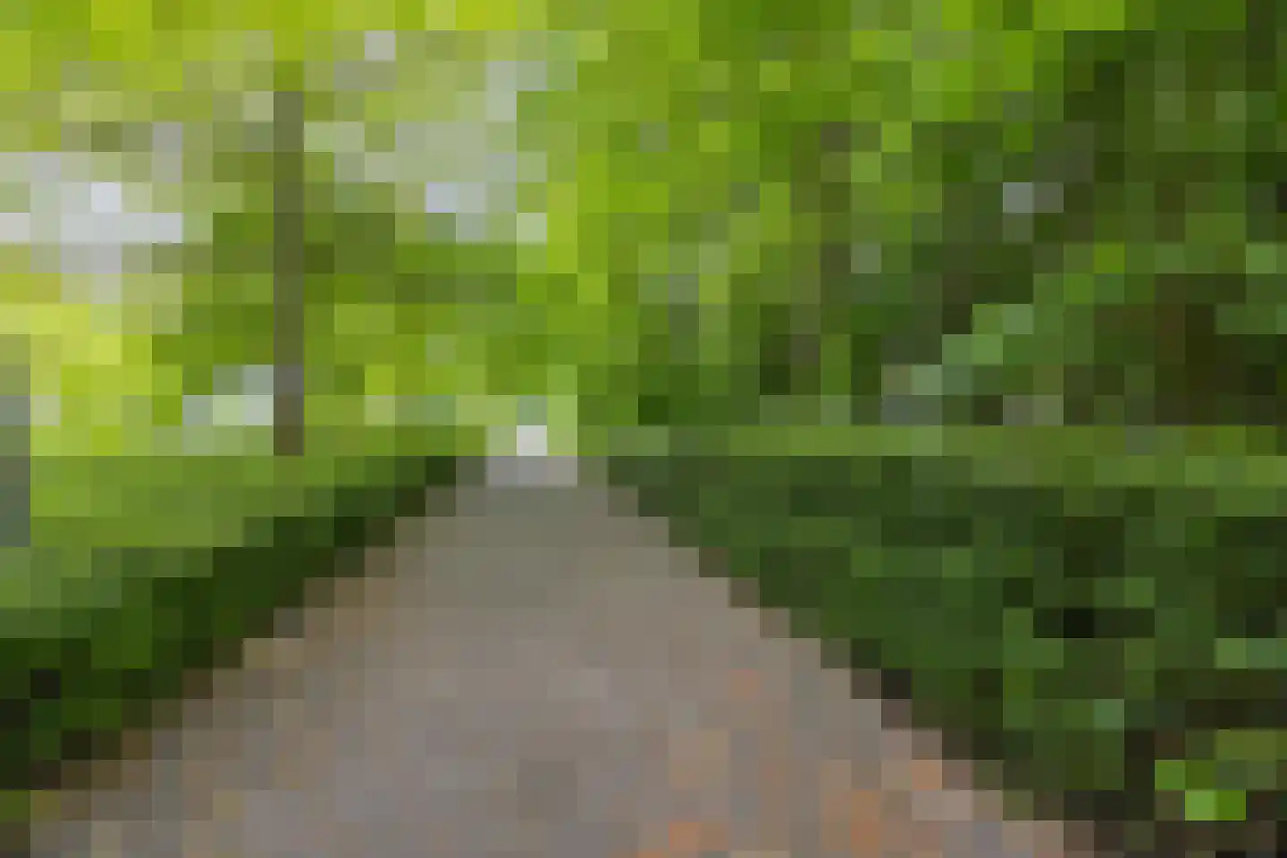 Einsteinplaats 1007 Rotterdam thumbnail 45