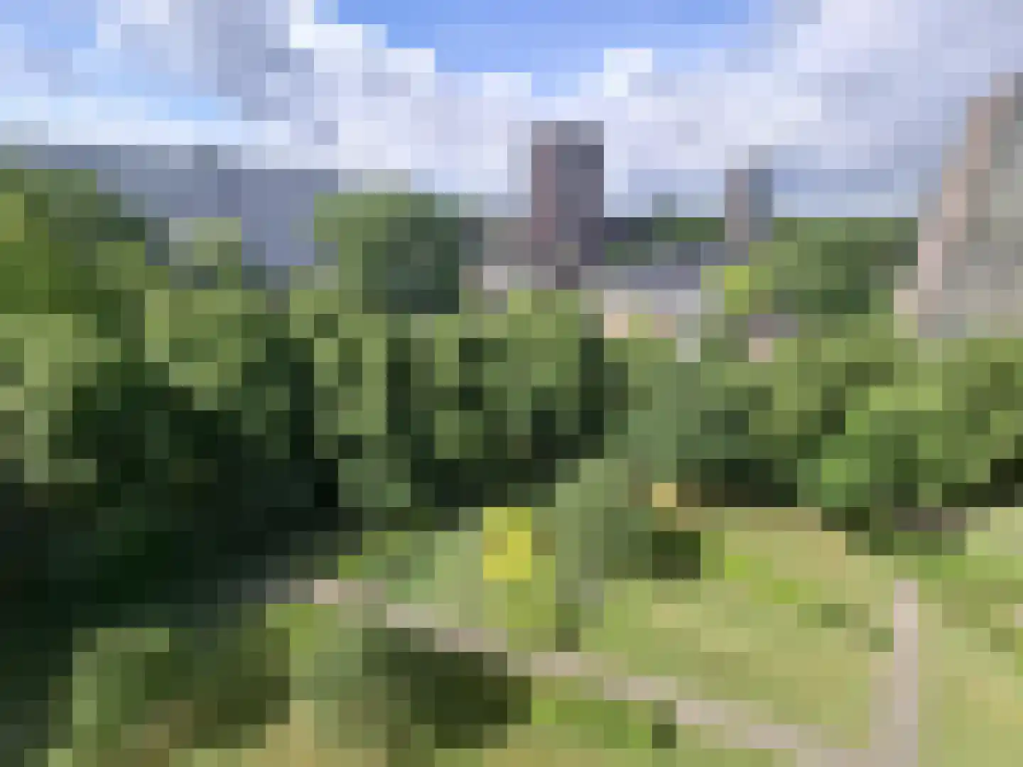 Einsteinplaats 1013 Rotterdam thumbnail 7
