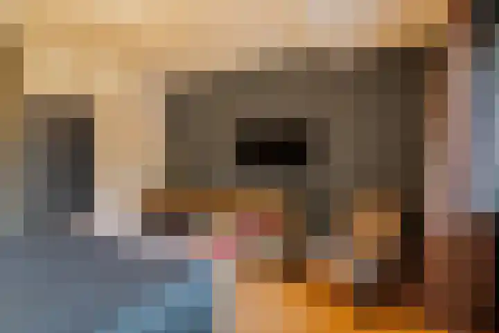 Einsteinplaats 1033 Rotterdam thumbnail 25