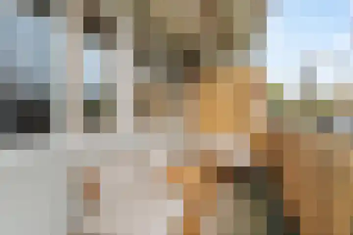 Einsteinplaats 1033 Rotterdam thumbnail 4