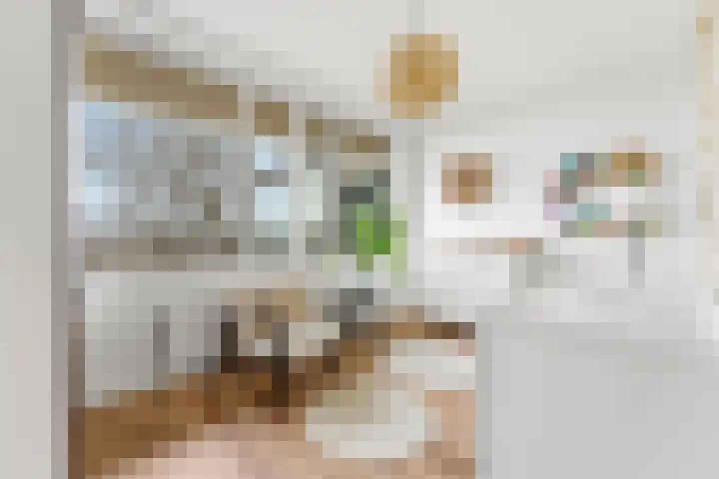 Einsteinplaats 1121 Rotterdam thumbnail 27