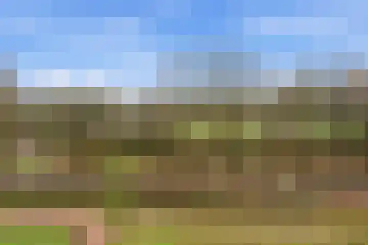 Einsteinplaats 1121 Rotterdam thumbnail 41