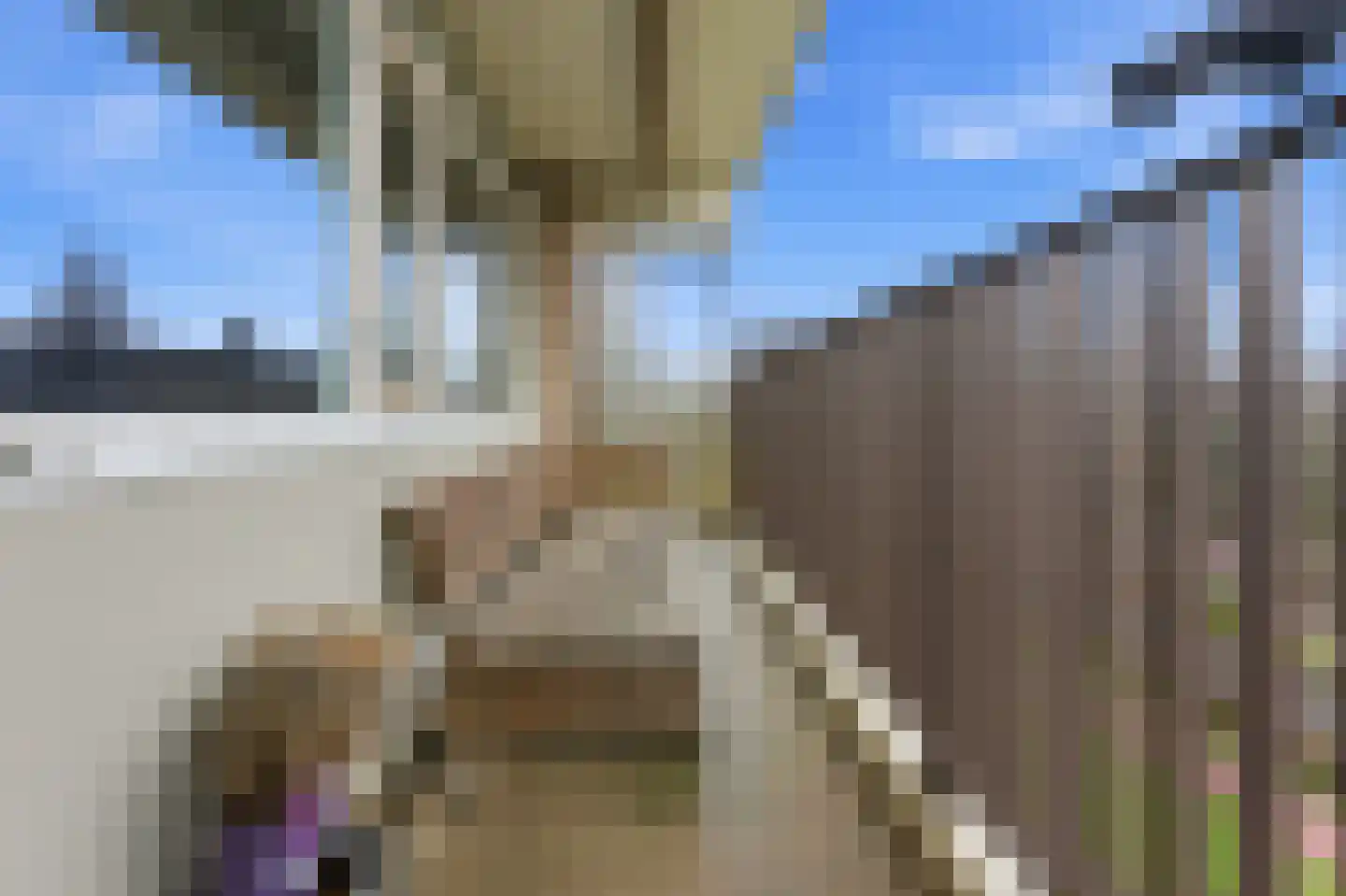Einsteinplaats 1121 Rotterdam thumbnail 5
