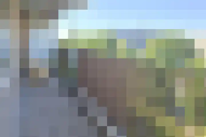 Einsteinplaats 853 Rotterdam thumbnail 8