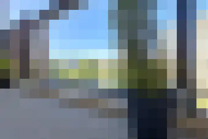 Einsteinplaats 853 Rotterdam thumbnail 9