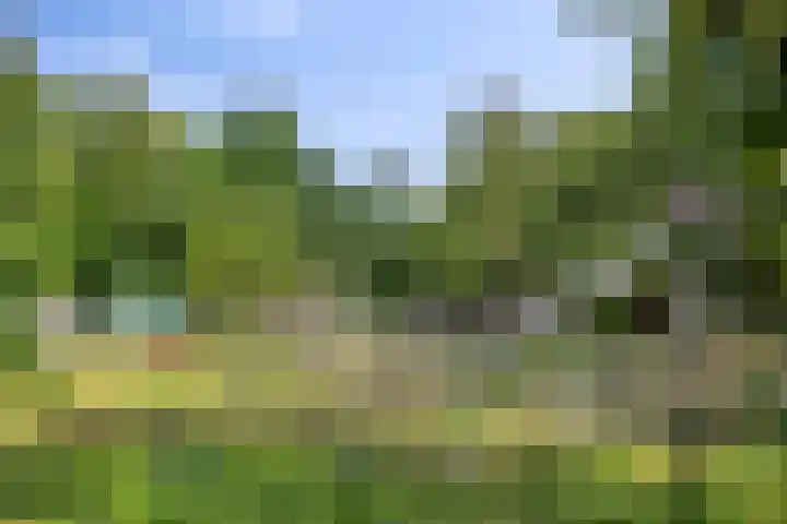 Einsteinplaats 867 Rotterdam thumbnail 23