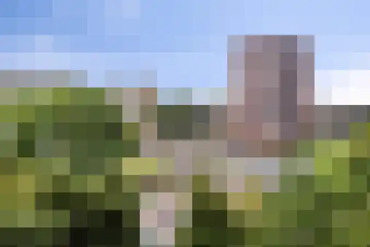 Einsteinplaats 867 Rotterdam thumbnail 25