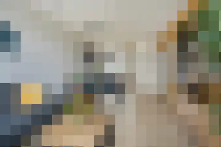 Einsteinplaats 867 Rotterdam thumbnail 5