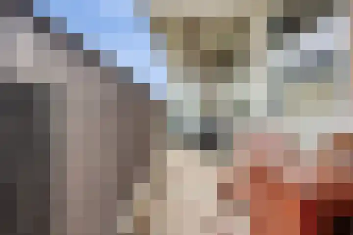 Einsteinplaats 867 Rotterdam thumbnail 8