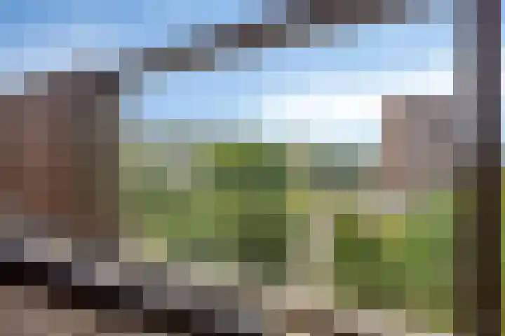 Einsteinplaats 867 Rotterdam thumbnail 9