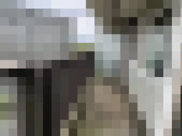 Einsteinplaats 877 Rotterdam thumbnail 8
