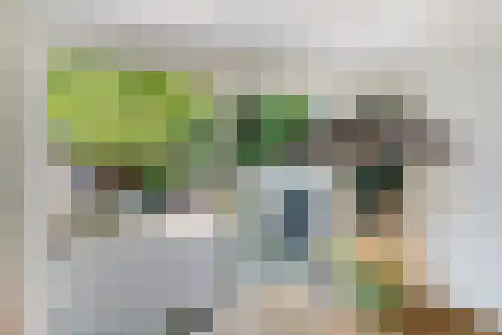 Einsteinplaats 909 Rotterdam thumbnail 4
