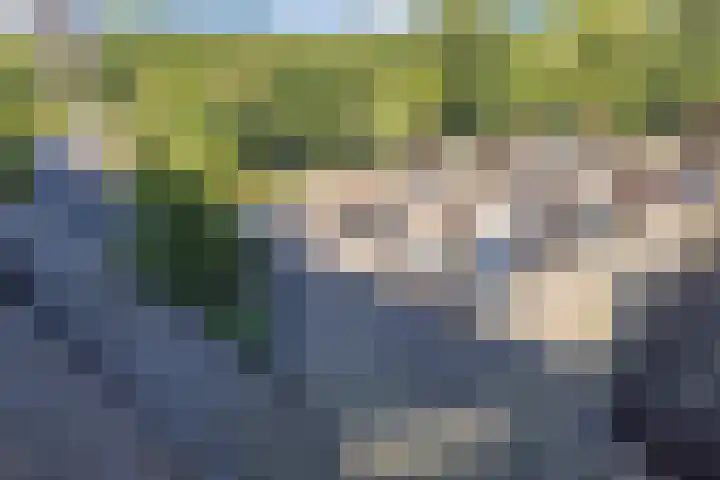Einsteinplaats 983 Rotterdam thumbnail 22