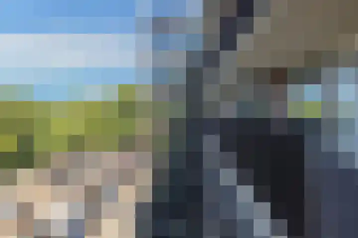 Einsteinplaats 983 Rotterdam thumbnail 25