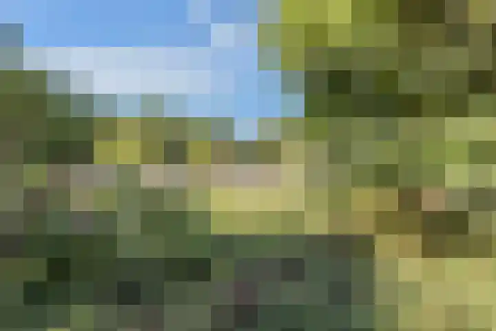 Einsteinplaats 983 Rotterdam thumbnail 26