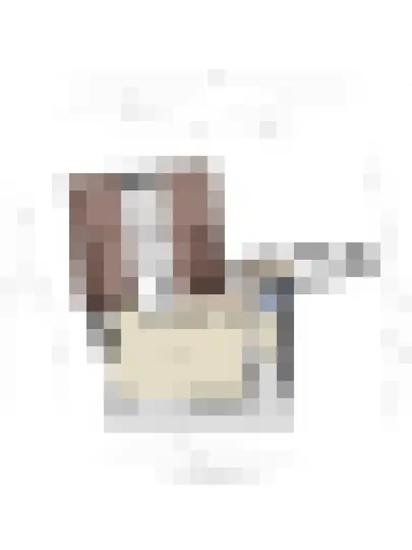 Einsteinstraat 1 B 02 Maastricht thumbnail 27