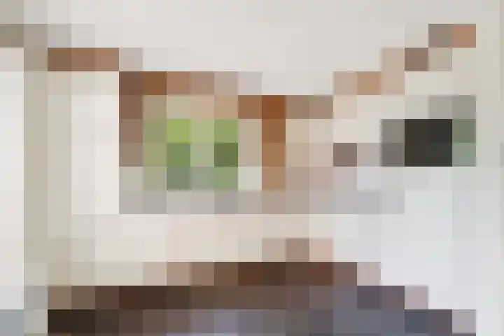 Einsteinstraat 1 Nijmegen thumbnail 18