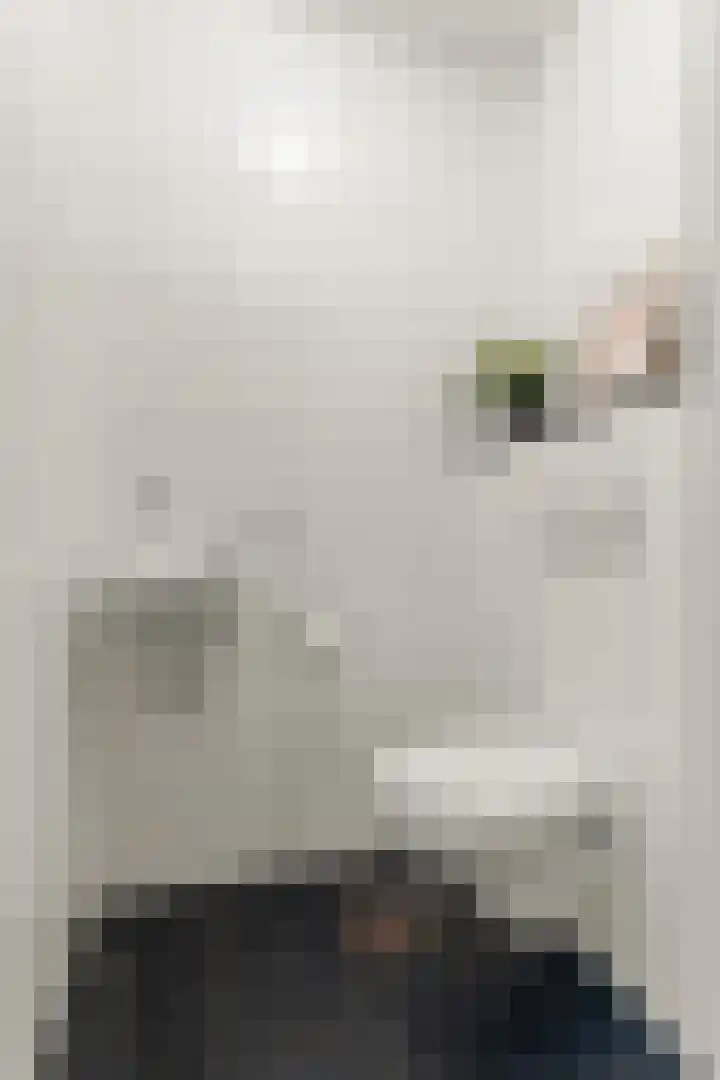 Einsteinstraat 1 Nijmegen thumbnail 23