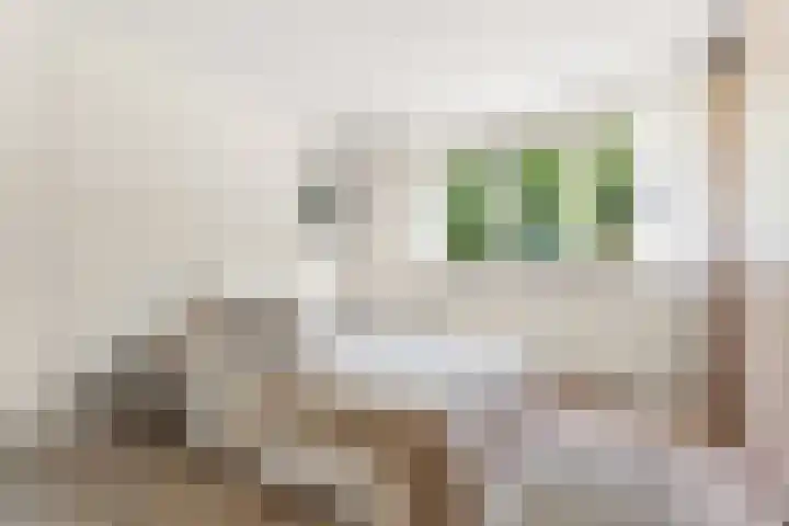 Einsteinstraat 1 Nijmegen thumbnail 26