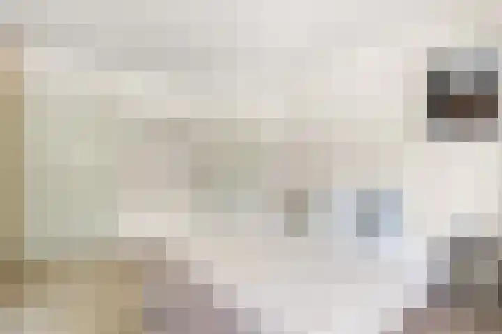 Einsteinstraat 1 Nijmegen thumbnail 27