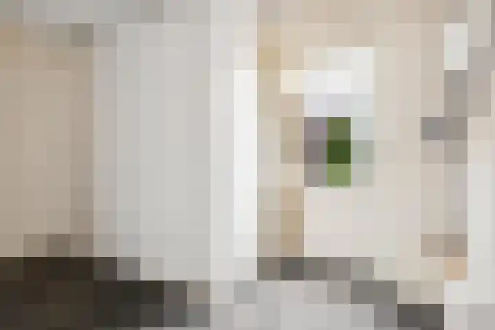 Einsteinstraat 1 Nijmegen thumbnail 32