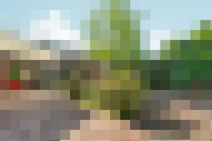 Einsteinstraat 1 Nijmegen thumbnail 52