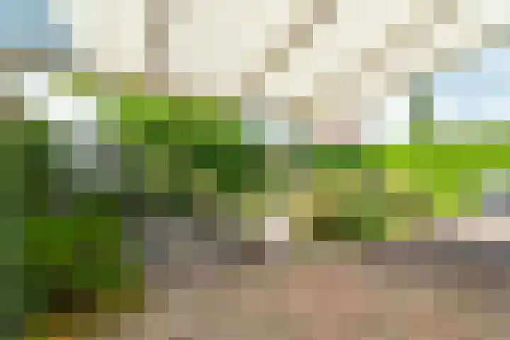 Einsteinstraat 1 Nijmegen thumbnail 55