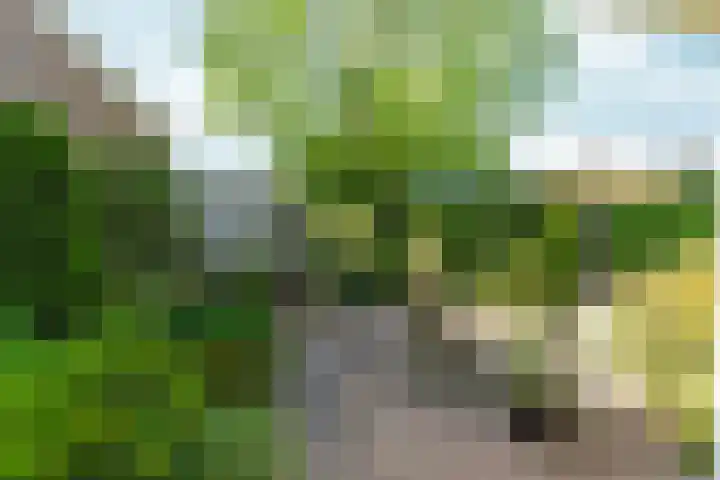 Einsteinstraat 1 Nijmegen thumbnail 56